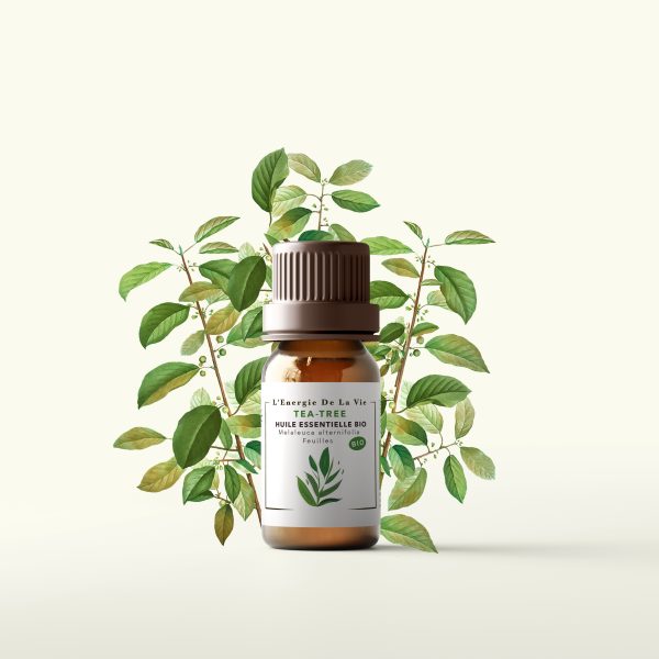 Huile essentielle bio de tea tree - L’Energie de la vie