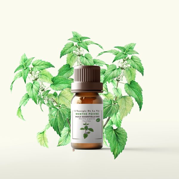 Huile essentielle bio de menthe poivrée – L’Energie de la vie