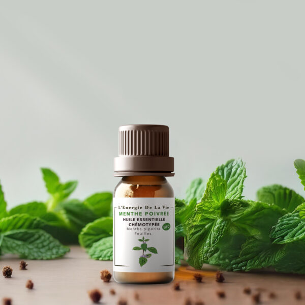 Huile essentielle bio de menthe poivrée – L’Energie de la vie