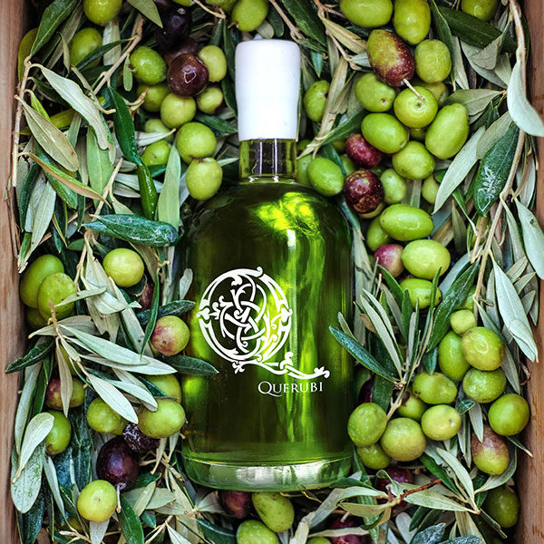 Huile d’olive bio du domaine de Querubi