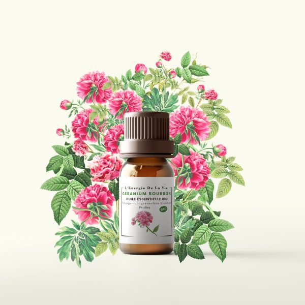 Huile essentielle bio de géranium bourbon – L’Energie de la vie