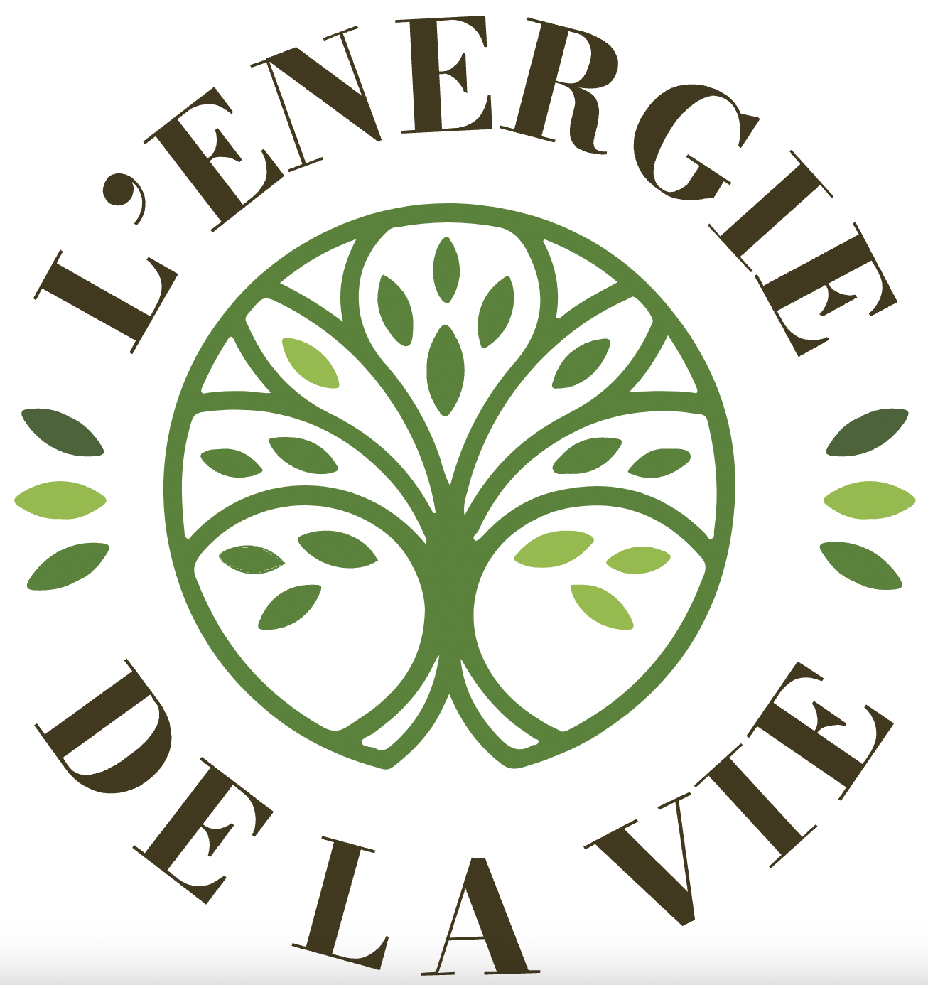 energie de la vie logo